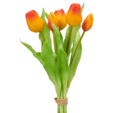 Tulip bunch x5, 31cm, orange