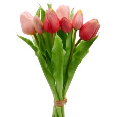 Tulpenbund x7, 31cm, rosa