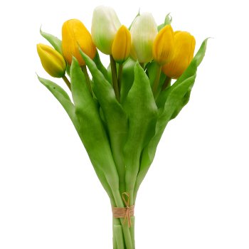 Tulpenbund x7, 31cm, gelb