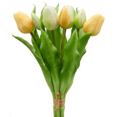Tulpenbund x7, 31cm, weiß