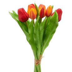 Tulpenbund x7, 31cm, orange