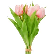 Tulip bunch x7, 31cm, pale pink