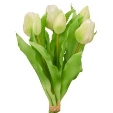 Tulip bunch x7, 31cm, white
