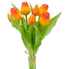 Tulip bunch x7, 31cm, orange