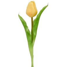Tulip x1, 31cm, light yellow