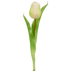 Tulip x1, 31cm, white