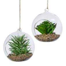 Glass with succulents/stone 2 assorted, pendant, 12x12x13cm, 9/disply