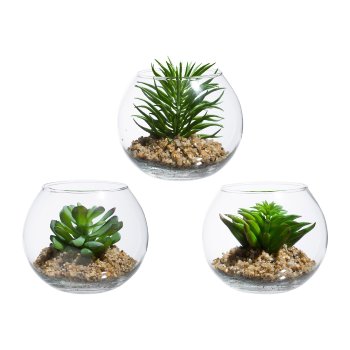 Glas m. Sukkulenten/Stein 3fa.so., 12x10cm 9/Display