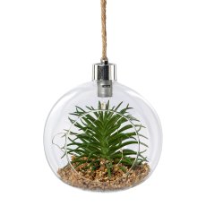 Glass with Succulent Hanger 2 assorted with LED, 12x12cm, Clear