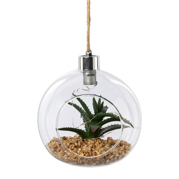 Glass with Succulent Hanger 2 assorted with LED, 12x12cm, Clear