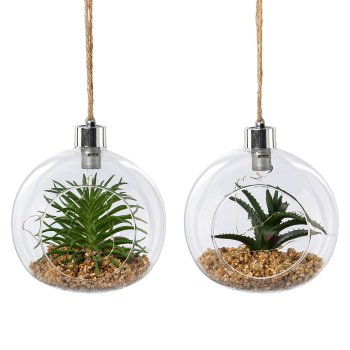 Glass with Succulent Hanger 2 assorted with LED, 12x12cm, Clear