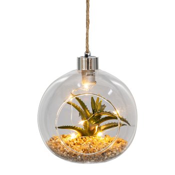 Glass with Succulent Hanger 2 assorted with LED, 12x12cm, Clear