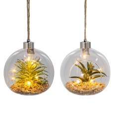 Glass with Succulent Hanger 2 assorted with LED, 12x12cm, Clear