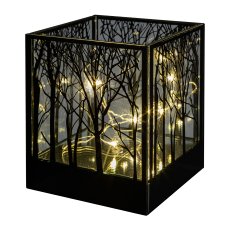 Glass lantern square, CUBUS TREE, 10x10x12cm,
