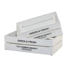 Wooden Box set of 2 Green&Amp