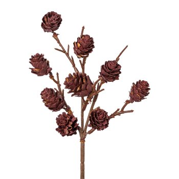 Natural cone 9er Pick, 25cm, berry