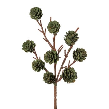 natural cone 9er Pick, 25cm, dark green