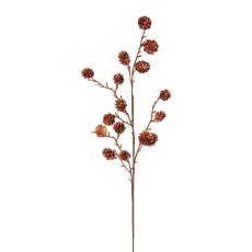 natural cone 16er branch, 70cm, terra