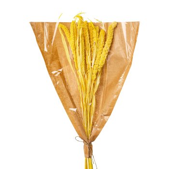 Bunch of 9 dried flowers MILLET, 13x75cm, light yellow