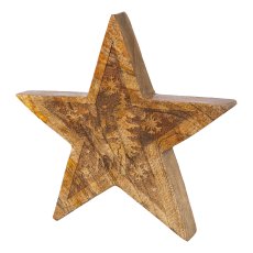 Wooden star standing w.winter