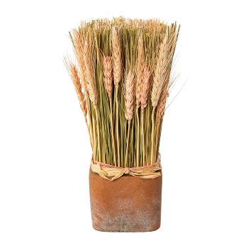 Dried flowers wheat mix in terracotta pot, 7x23cm, pink