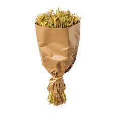 Trockenblumen-Bouquet Gras-Mix in Kraftpaper, ca.44cm, grün