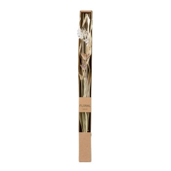 Natur Trockenblumen gebündelt 4 fa. fl. sort., 60cm,  klar