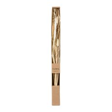 Natur Trockenblumen gebündelt 4 fa. fl. sort., 60cm,  klar