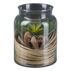 Succulent mix with natural decoration in a jar, 3 assorted, 12.5x16cm, green