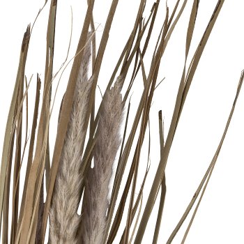 Dried flower bundle FOXTAIL, 85cm, natural