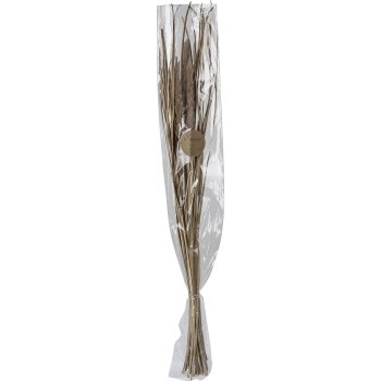 Trockenblumen Bündel FOXTAIL, 85cm, natur