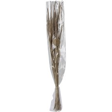 Dried flower bundle FOXTAIL, 85cm, natural