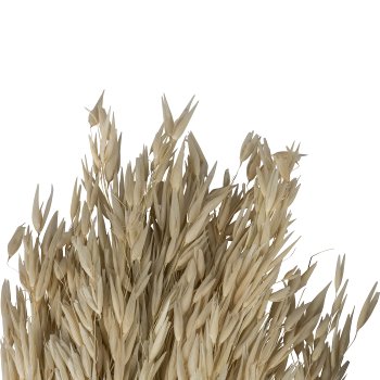 Dried flower bundle GRASS, 85cm, natural