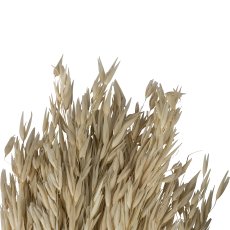 Dried flower bundle GRASS, 85cm, natural