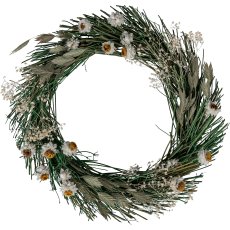 Dried flower wreath CORIANDER, 21x23x6cm, green