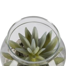 Succulent arrangement in a glass with decorative stones, 2 assorted, 15x15cm, clear