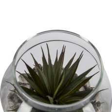 Succulent arrangement in a glass with decorative stones, 2 assorted, 15x15cm, clear