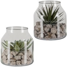 Succulent arrangement in a glass with decorative stones, 2 assorted, 15x15cm, clear