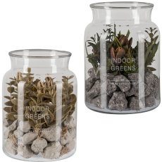 Succulent arrangement in a glass with decorative stones, 2 assorted, 12.5x16cm, clear