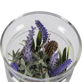 Succulent arrangement in a glass with decorative stones, 3 assorted, 10x13cm, clear