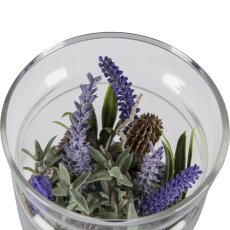 Succulent arrangement in a glass with decorative stones, 3 assorted, 10x13cm, clear