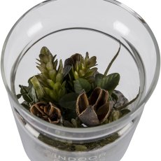 Succulent arrangement in a glass with decorative stones, 3 assorted, 10x13cm, clear