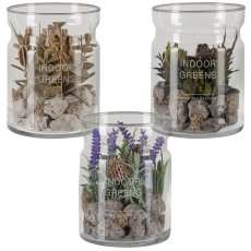 Succulent arrangement in a glass with decorative stones, 3 assorted, 10x13cm, clear