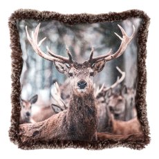 Velvet cushion w.fur edge deer