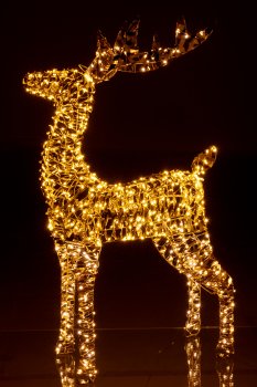Metal frame deer with glitter foil, 600LED, 50x20x80cm/IP44 adapter 6W, 6h timer,