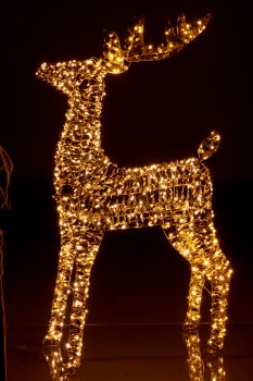 Metal frame deer with glitter foil, 720LED, 60x23x100cm/IP44 adapter 6W, 6h timer,