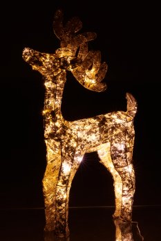 Metallhirsch mit Folienbezug, 50LED, Adapter 6h Timer, 70x40x10cm, gold