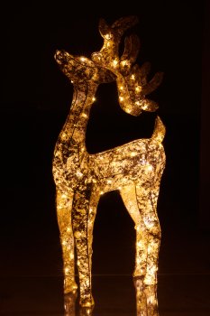 Metal deer with foil cover, 100LED, adapter, 100x50x16cm, gold
