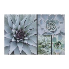 Canvas Decoration Picture Cactus Mix, 40x60x1,8cm, Green, 1/Piece