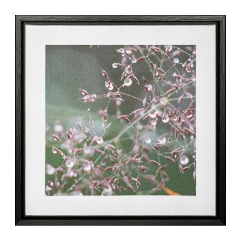 Canvas Print im PS Rahmen 2fa.so. MARGERITE, 25x25x2,5cm, natur